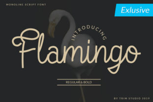 Flamingo: A Retro Monoline Script for Modern Design