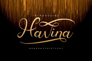 Havina Turns Your Design Ideas Into True Standouts
