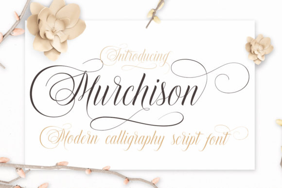 Murchison: The Bold Script That Elevates Your Voice