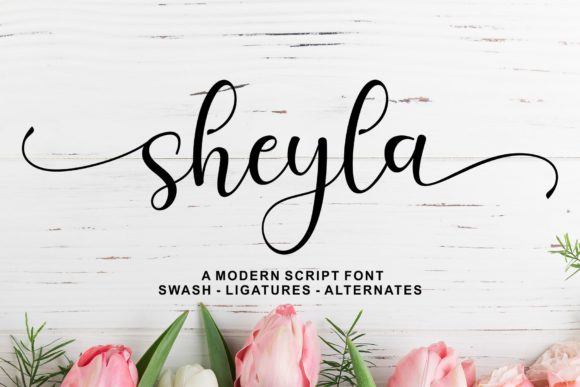 Sheyla Script: A Contemporary Script with Authentic Charm