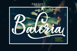 The Charm of Baleria Script: A Modern Calligraphy Typeface for Digital Craftsmanship